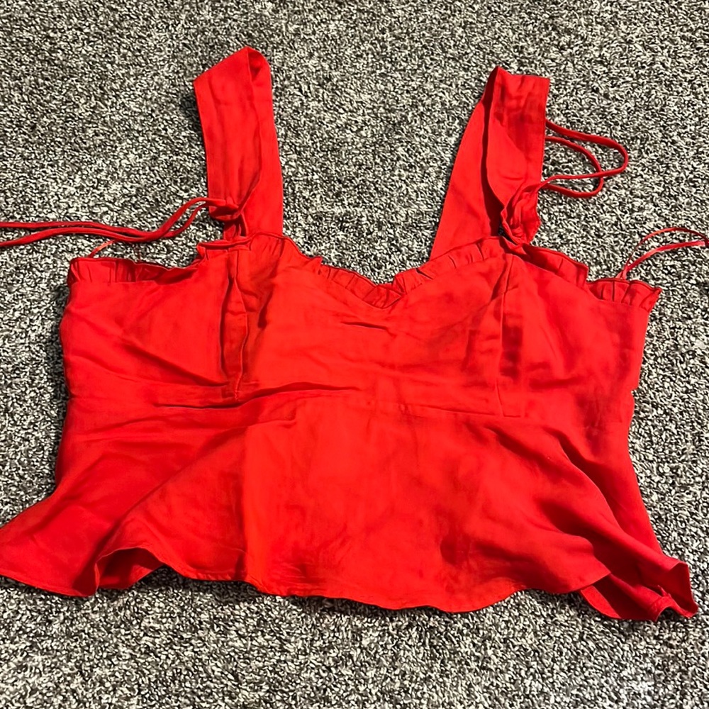 Red Zara Cropped Tank Top